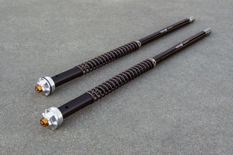 ANDREANI:105/T04E