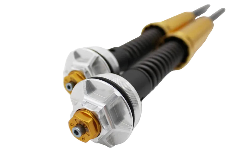 ANDREANI MISANO EVO BPF cartridge kit DUCATI Panigale V4 '18 -'24 / StreetFighter V4 / 1100 '19+ / V2 Panigale '20+