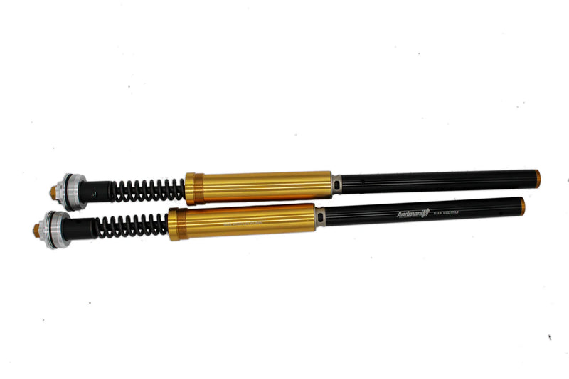 ANDREANI MISANO EVO2 BPF cartridge kit SUZUKI GSX-R 600 '11 -'22 / GSX-R 750 '11 -'22