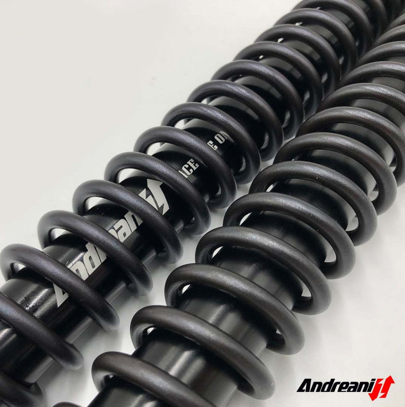 ANDREANI:125/KT06