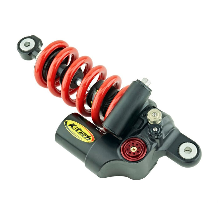 SHOCK ABSORBER DDS PRO 2020> APRILIA TUONO RS660