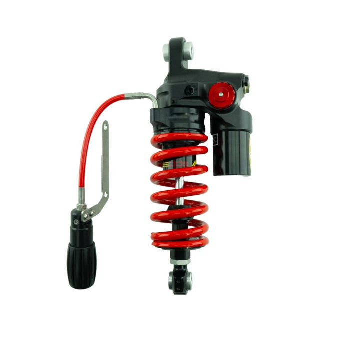 SHOCK ABSORBER DDS PRO KAWASAKI NINJA ZX-4RR 2023>