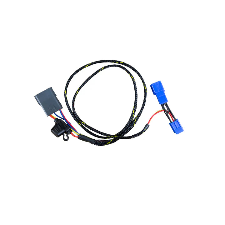 Woodcraft '09 -'12 Triumph Daytona 675/R Keyswitch Elimination Harness