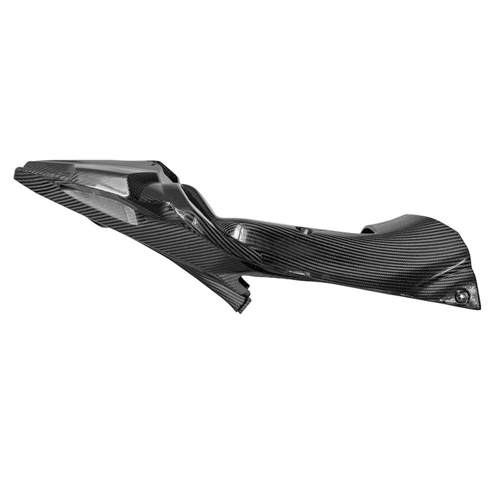 Alpha Carbon Race tail 2023+ BMW S 1000 RR  (K67) & 2023+ M 1000 RR  (K66), fits to OEM and racing subframe