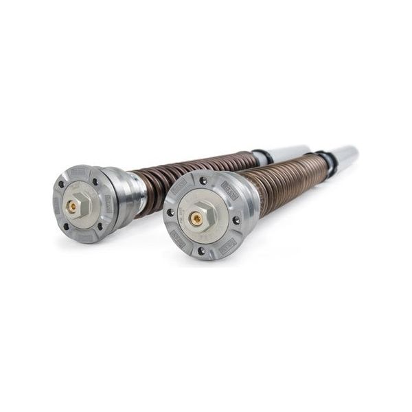 Ohlins Fork Cartridge Kit NIX30 '23-'25 Kawasaki ZX4RR — Daredevil