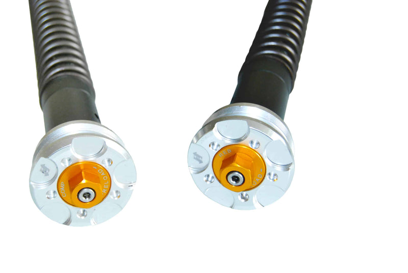ANDREANI:305/A05E