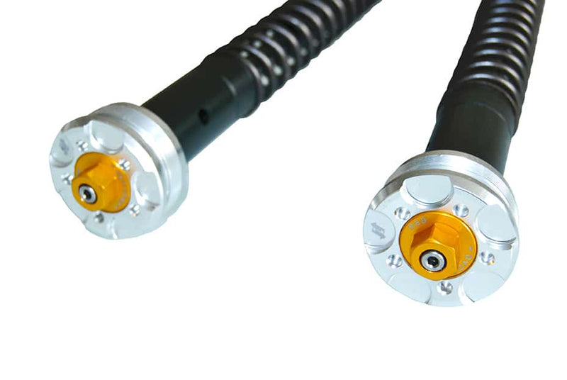 ANDREANI:305/T18E