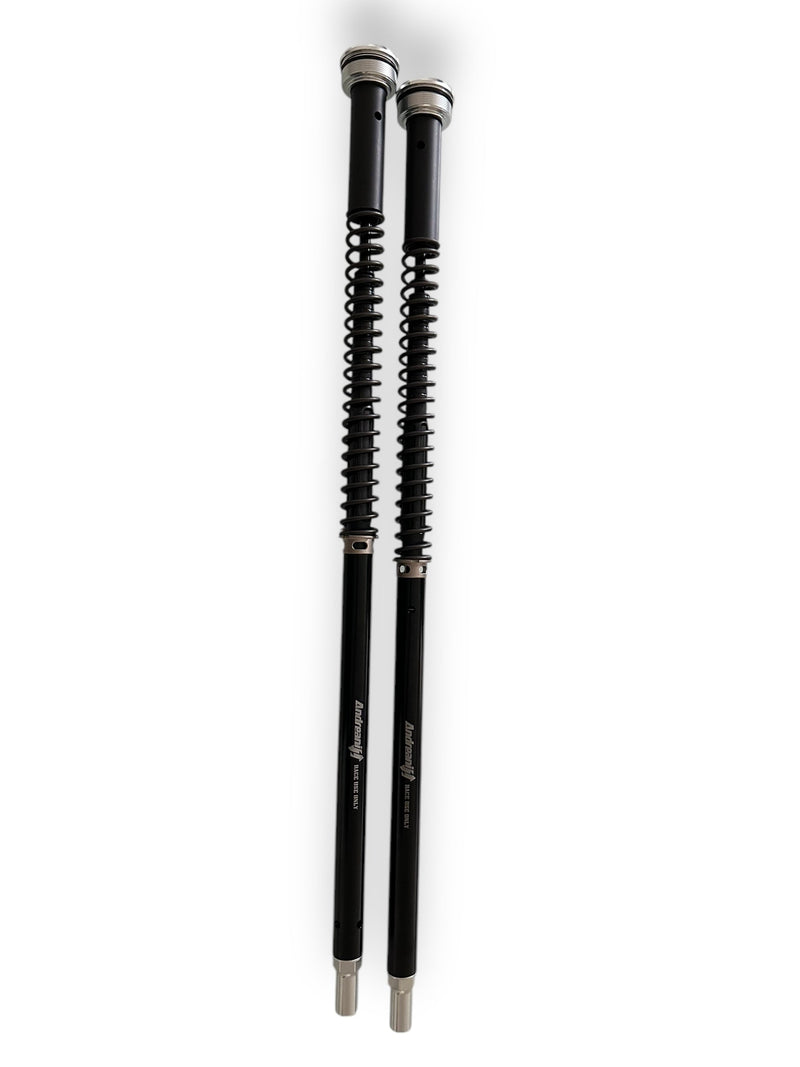 ANDREANI:305/W25E