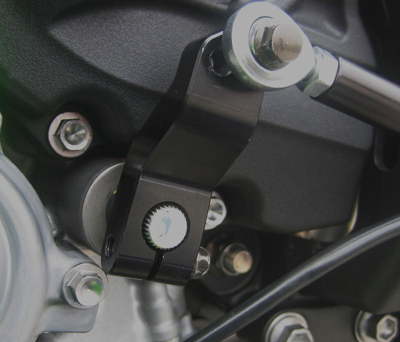 Graves Motorsports '16 -'20 Kawasaki ZX-10 Adjustable Rearsets