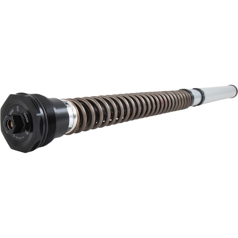 OHLINS NIX 30 Cartridge Kit FKS 505  (BMW R nine T)